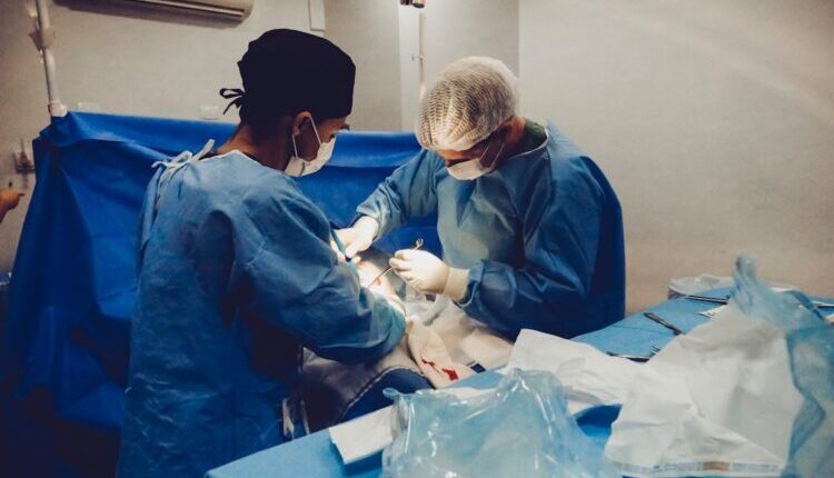 EVERGLOW%20EMPLOYMENT%20AGENCY%20|